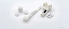 Evonik and BellaSeno Advance Commercialization of 3D-printed, Bioresorbable Implants